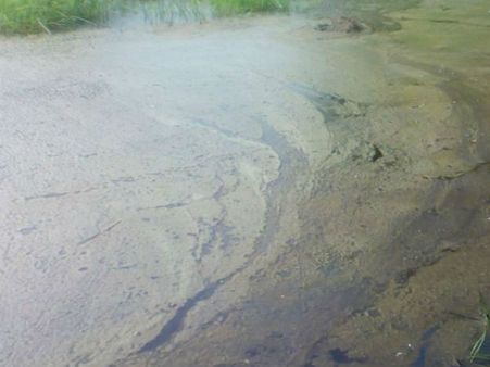 திருவாரூர்: ஓஎன்ஜிசி குழாய் உடைந்து வயலில் தேங்கிய கச்சா எண்ணெய் - விவசாயி அதிர்ச்சி