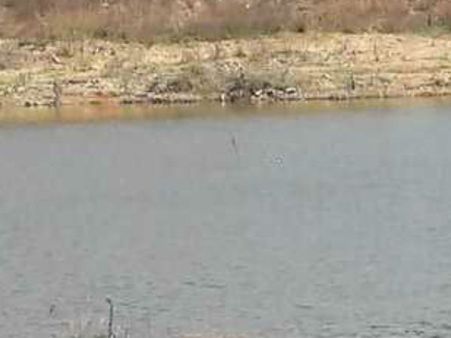 ஆந்திரா போலீசின் கொடூர என்கவுண்ட்டர்? 5 தமிழர்களை அடித்தே கொலை செய்து ஏரியில் வீசியதா?