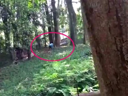 சிங்கத்தின் குகையில் வாலண்டியராக ஏறிய போதை ஆசாமி: பத்திரமாக மீட்ட ஊழியர்கள்