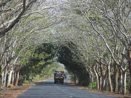 கலிங்கம் காண்போம் - பகுதி 27: பரவச பயணத்தொடர்!