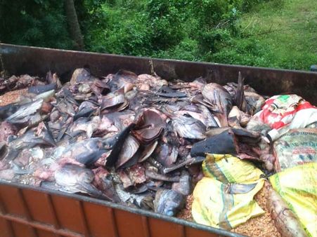 நெல்லை: கேரளா மீன்கழிவுகளை கொட்ட வந்த லாரி... சோதனை சாவடியில் மடக்கி பிடித்த பொதுமக்கள்