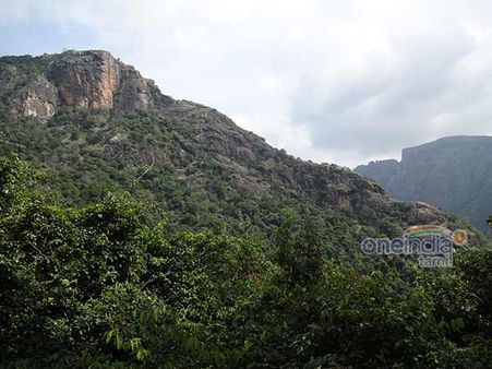 குரங்கணி மலை தீ விபத்து எதிரொலி.. கொல்லிமலையிலும் ட்ரெக்கிங் செல்ல தடை