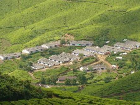 'எஸ்டேட்டைக் கைகழுவினால் போதும்!'- பயணத்துக்குத் தயாராகும் நந்தி சாமியார் (எ) அதிபன் போஸ்