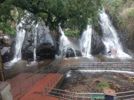 தென்காசி, மேற்குத்தொடர்ச்சி மலையில் மழை... குற்றாலம் அருவியில் நீர் வரத்து!