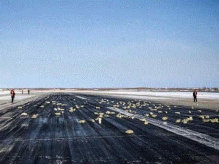 வானிலிருந்து மழை போல் கொட்டிய தங்கம் மற்றும் வெள்ளிக் கட்டிகள்!