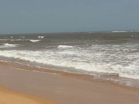 நெல்லையில் கடற்கரைப் பகுதிகளில் வெடிகுண்டு இருப்பதாகத் தகவல்: விடிய விடிய போலீஸார் தீவிர சோதனை