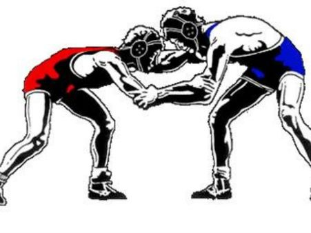 7 மல்யுத்த வீரர்களுக்கு ஓராண்டு தடை.. இந்திய மல்யுத்த பெடரேஷன் அதிரடி