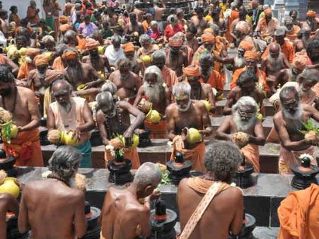 சித்ராபவுர்ணமி: ஸ்ரீ தன்வந்திரி ஆரோக்ய பீடத்தில் 468 சித்தர்களை போற்றும் யாகங்கள்