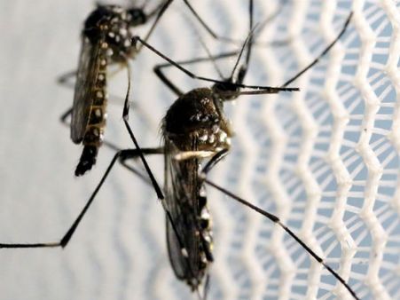 ரூ.85 கோடி செலவில் கொசுவை கொல்லும் நவீன எந்திரம்.. சீனாவின் புதிய திட்டம்.. எப்படி செயல்படுகிறது?