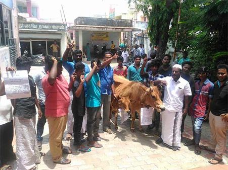 தென்காசியில் சாலை வசதி கோரி மாடு, கன்றுடன் வந்து நூதன முறையில் மனு அளித்த மக்கள்