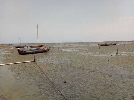 திருப்பாலைக்குடியில் ஒரு கிலோ மீட்டருக்கு மேல் உள் வாங்கியது கடல்-மீனவ கிராம மக்கள் அச்சம்