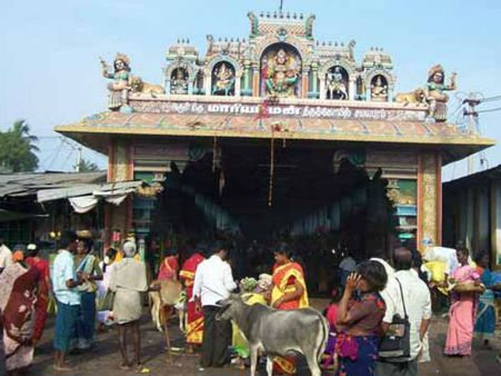 பக்தர்களின் துயர்துடைக்க சமயபுரத்தாள் தேரில் பவனி!