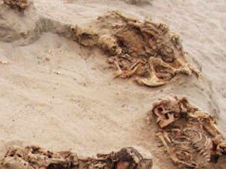 140 குழந்தைகள், 200 ஒட்டகங்கள்... 550 ஆண்டுகளுக்கு முன் நடந்த மாபெரும் நரபலி கண்டுபிடிப்பு