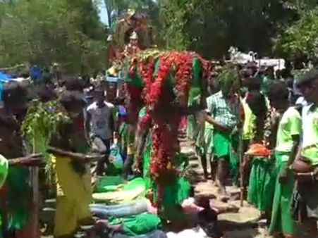 பர்கூர் அருகே வனதேவதை திருவிழா.. பச்சை சேலை.. காட்டுமலர்கள், கிழங்குகள் படைத்து வினோத வழிபாடு