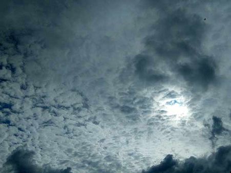 தென் மேற்கு பருவமழை தொடங்கியது.. வானிலை மையம் தகவல்