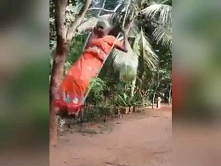 எத்தனை நாள் ஆசையோ? இந்த பாட்டிக்கு எவ்வளவு தைரியம் பாருங்க மக்களே..!