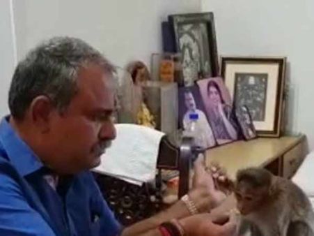 தேர்தல் நாளில் தேடி வந்த குரங்கு.. ஒன்றாக உட்கார்ந்து டிபன் சாப்பிட்ட கர்நாடக எம்எல்ஏ