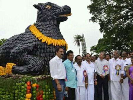 கோத்தகிரியில் இன்று 2-வது நாள் காய்கறி கண்காட்சி: பார்வையாளர்கள் பரவசம்!