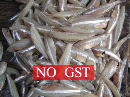 விவசாயம், கால்நடை வளர்ப்புக்கு நிலம் வாடகை- வருமானத்திற்கு ஜிஎஸ்டியில் இருந்து விலக்கு