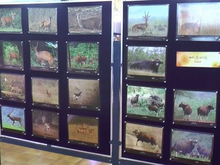 ஊட்டியில் புகைப்பட கண்காட்சி: வரும் 31-ந்தேதி வரை கண்டுகளிக்கலாம்