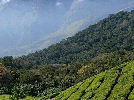 என்னது மேற்கு தொடர்ச்சி மலையை வெட்டனுமா? கொதிக்கும் சூழல் ஆர்வலர்கள்!