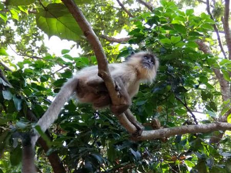 கலிங்கம் காண்போம் - பகுதி 55 - பரவசமூட்டும் பயணத்தொடர்