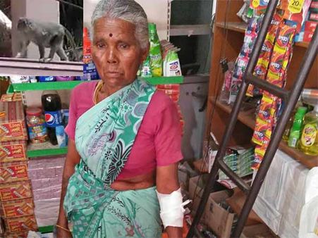 பல்லடத்தில் பரபரப்பு.. பாய்ந்து பாய்ந்து குதறிக் கடிக்கத் தாவும் குரங்குகள்.. மக்கள் பீதி!