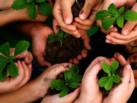 உலக சுற்றுசூழல் தினம் - விருக்ஷ சாஸ்திரம் கூறும் ரகசியங்கள்!