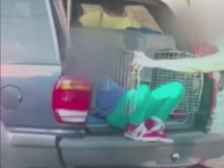 வேனில் போதுமான இடமில்லை.. பேரக்குழந்தைகளை நாய்க்கூண்டில் அடைத்து வைத்த பாசக்கார பாட்டி!