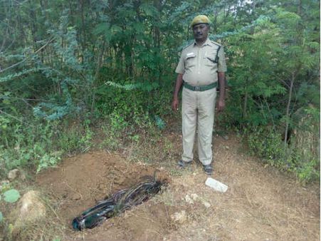 ஈரோடு அருகே விருப்பப்படி பறந்த அழகு மயில்.. மின் கம்பியில் மோதி கிணற்றில் விழுந்து பலி