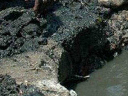 கடவுளும் கண்ணீர் சிந்துவார் இந்த முதியவர்களின் நிலையைப் பார்த்தால்!