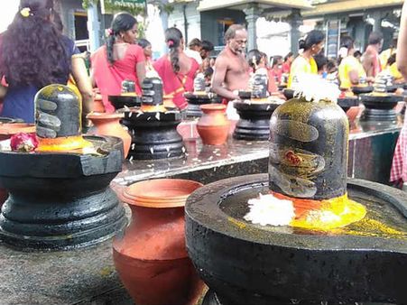 தங்க சிம்மாசனம்...ரத்ன சிம்மாசனம் வேண்டுமா? - சிவ பூஜைக்கு உதவி செய்யுங்க