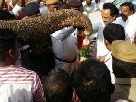 ஸ்ரீரங்கம் கோவில் வாசலில் ஸ்டாலினுக்கு பூரண கும்ப மரியாதை