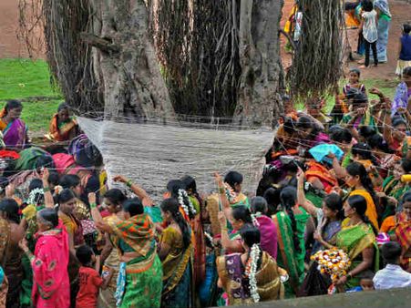 என் பொண்டாட்டி எனக்கு வேணாம்... ரிவர்ஸில் மரத்தை சுற்றி வேண்டும் வடமாநில ஆண்கள்!!