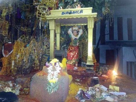 ஆடித்தவசு: ஊசி முனையில் ஒற்றைக் காலில் தவம் இருக்கும் கோமதி அம்மன்- குவியும் பக்தர்கள்