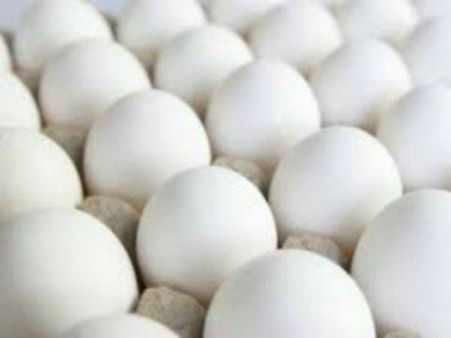 கிறிஸ்டியைவிட கம்மி விலைக்கு முட்டை தர நாங்கள் ரெடி.. கோழிப்பண்ணை சம்மேளனம் அதிரடி