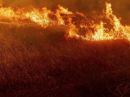 கிரீஸ் நாட்டில் பயங்கர காட்டுத் தீ.. இதுவரை 74 பேர் பலி, 200 பேர் காயம்