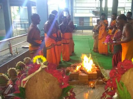 தன்வந்திரி பீடத்தில் 27 யாகம்...ஆஷாட ஏகாதசியில் நெல்லிப்பொடி அபிஷேகம் 