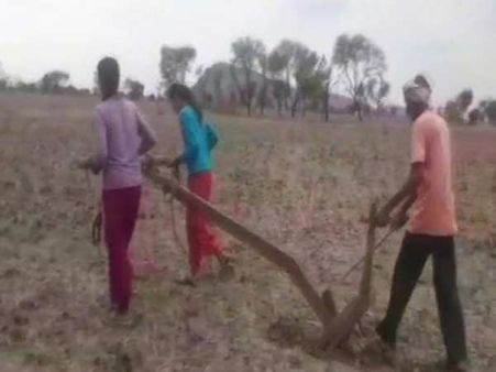 வறுமை.. ஏழ்மை.. உழுவதற்கு மாடு இல்லை.. மகள்களை ஏரில் பூட்டி உழுத உ.பி. விவசாயி