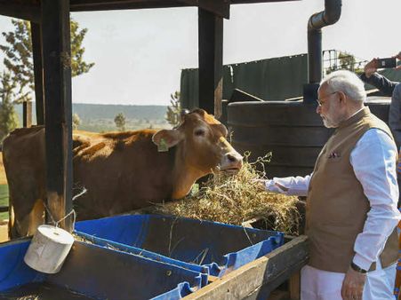 ருவாண்டாலதான் அதிக பீஃப் சாப்பிடுறாங்க.. அவங்களுக்கு பசுமாடு பரிசா?.. என்ன மோடி இது?