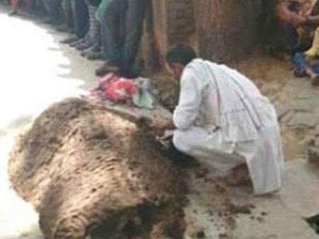 உ.பியில் பாம்பு கடிக்கு சாணம் பூசி மருத்துவம் பார்த்த கணவர்.. சாமியாரால் மனைவியை இழந்த கொடூரம்