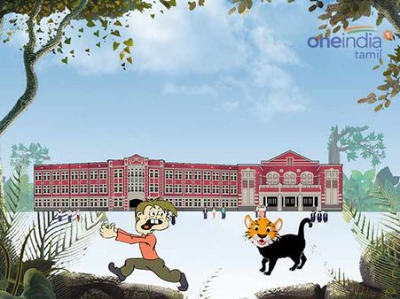 புலி தோல் போர்த்திய பூனை.. 5 மணி நேரம் பீதியில் மாணவிகளை உறைய வைத்த 