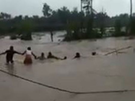 நீலகிரியை உலுக்கும் வெள்ளம்.. நீரில் கூட்டம் கூட்டமாக அடித்து செல்லப்படும் மான்கள்