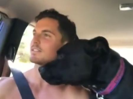 ஐயோ கடல், கடல்.. தன் சந்தோஷத்தை முதலாளியிடம் வெளிப்படுத்திய நாய்