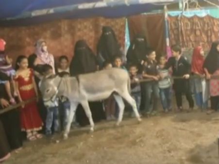 கற்பூர வாசனையை விடுங்க.. கழுதைக்கு தெரியுமா 'ஜோதிட' வாசனை!