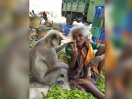 ஒரே நாளில் அத்தனை பேரையும் உலுக்கி எடுத்த படம்!