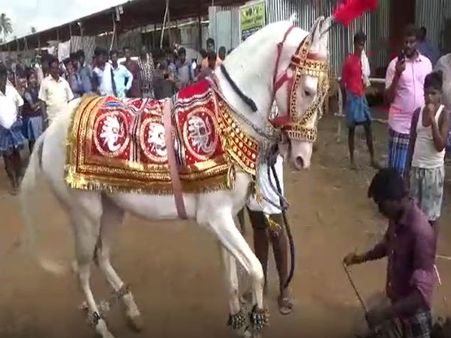 அரியவகை ஆடுகள், வித விதமான குதிரைகள், வகை வகையான மாடுகள்.. கலகலக்கும் அந்தியூர் சந்தை!