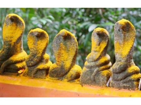 கண் நோய் தீர்க்கும் ஆவணி ஞாயிறு விரதம்: நாகராஜா ஆலயத்தில் பெண்கள் வழிபாடு