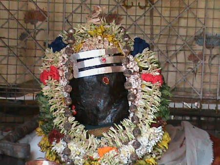 ஆடி அமாவாசை - சதுரகிரி சுந்தரமகாலிங்கத்தை காண குவியும் பக்தர்கள் 