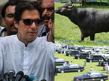 8 எருமைகள் உட்பட 100க்கும் மேற்பட்ட அரசு சொத்துக்களை ஏலம் விட்ட பாகிஸ்தான் பிரதமர்.. ஏன் தெரியுமா?